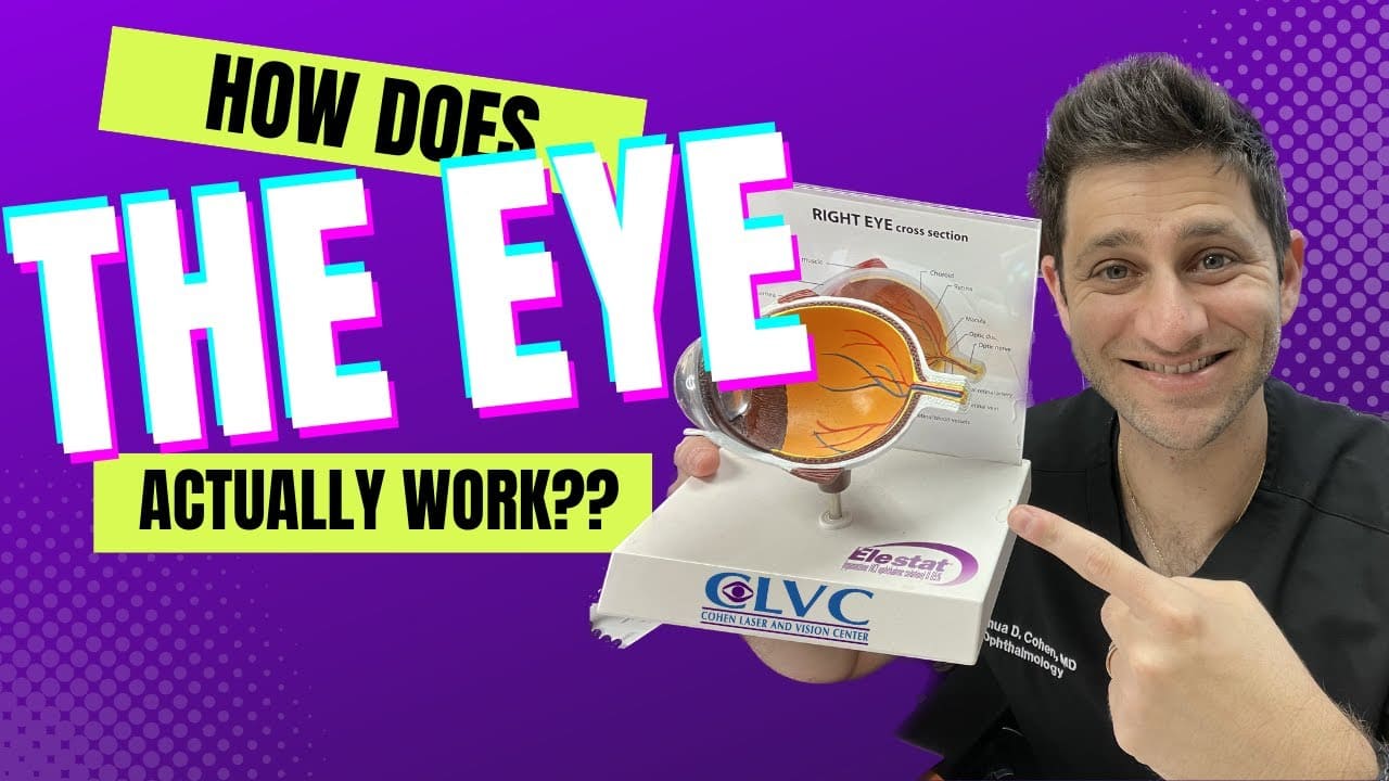 video-how-does-the-eye-work